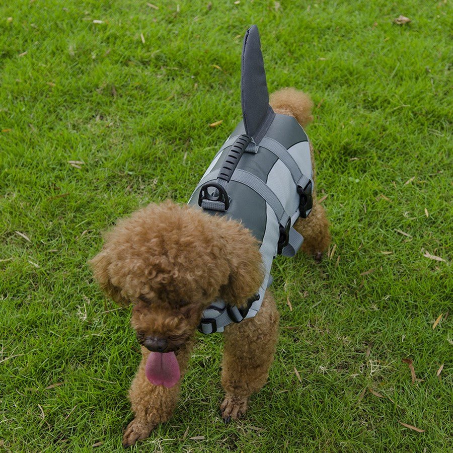 gilet de sauvetage aileron de requin et sirène - Pro - canin.com
