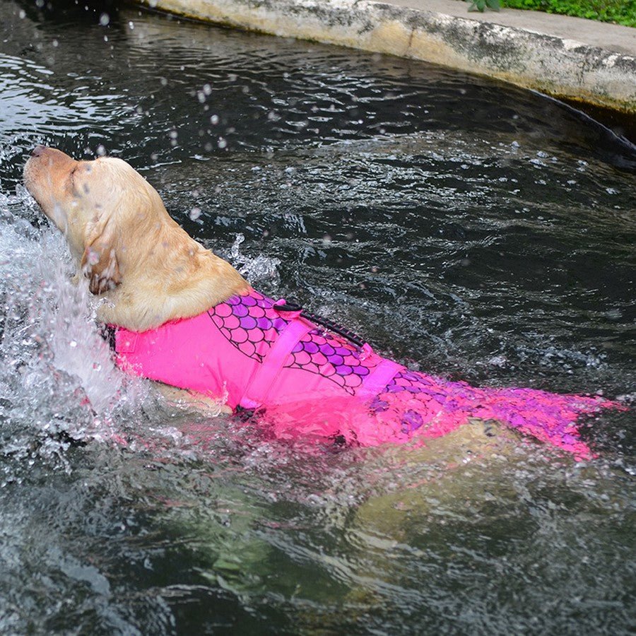 gilet de sauvetage aileron de requin et sirène - Pro - canin.com