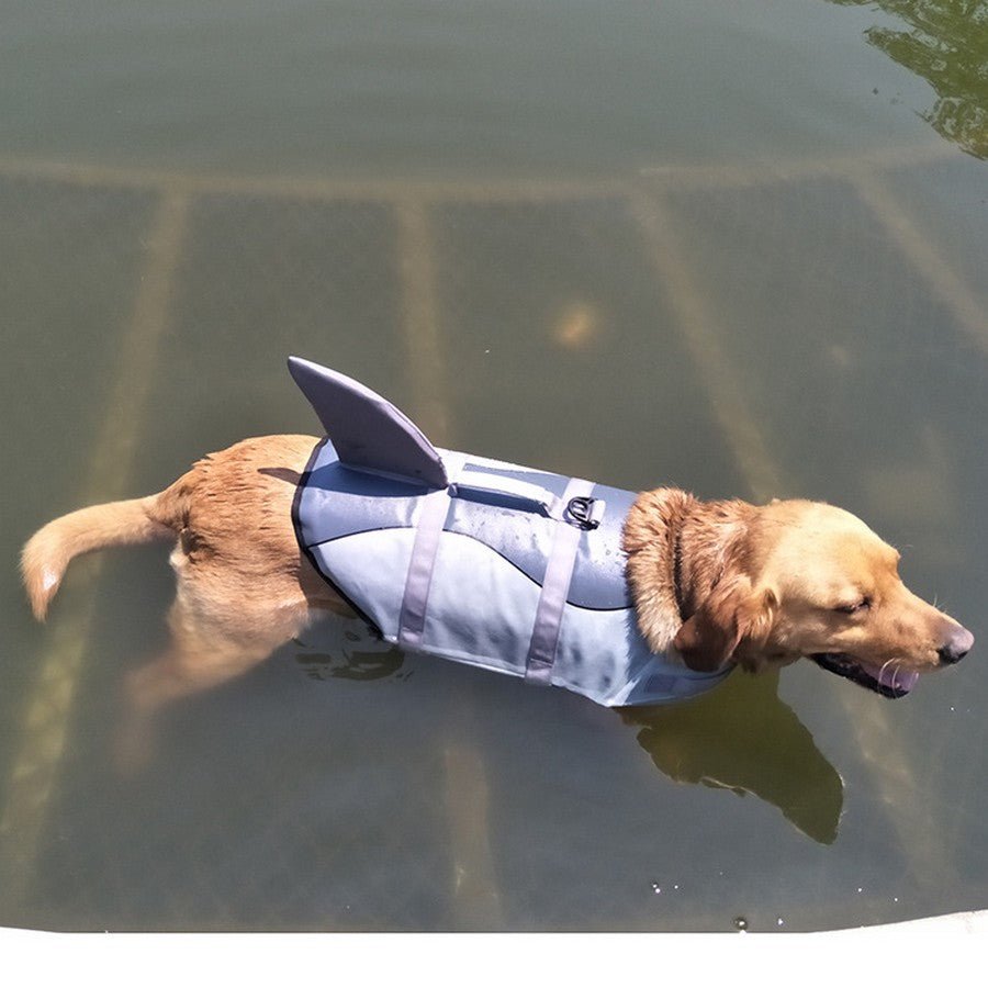 gilet de sauvetage aileron de requin et sirène - Pro - canin.com
