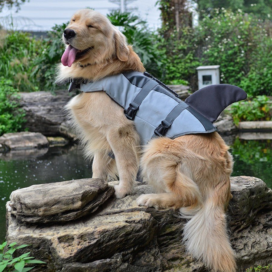 gilet de sauvetage aileron de requin et sirène - Pro - canin.com