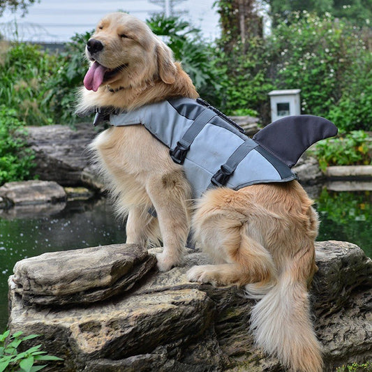 gilet de sauvetage aileron de requin et sirène - Pro - canin.com