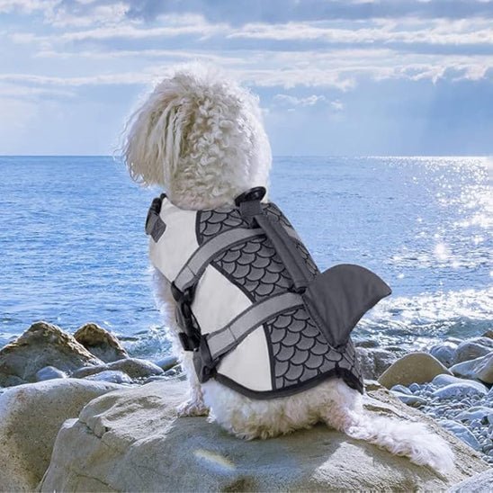 gilet de sauvetage aileron de requin gris