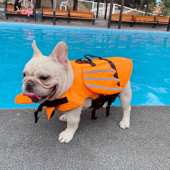 GILET DE SAUVETAGE CHIEN AILE D'ANGE ORANGE PUG