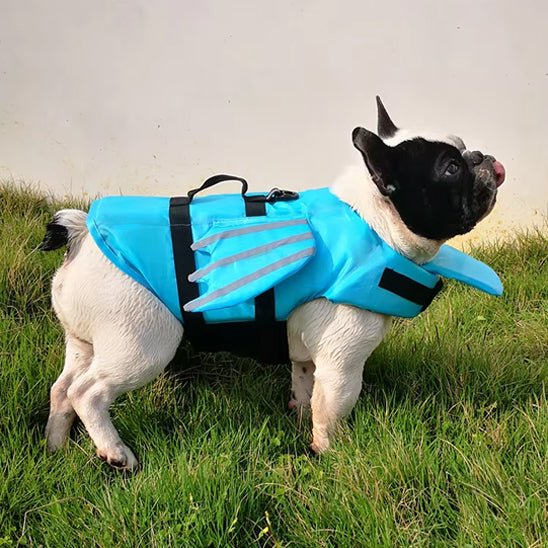 GILET DE SAUVETAGE CHIEN AILE D'ANGE pug