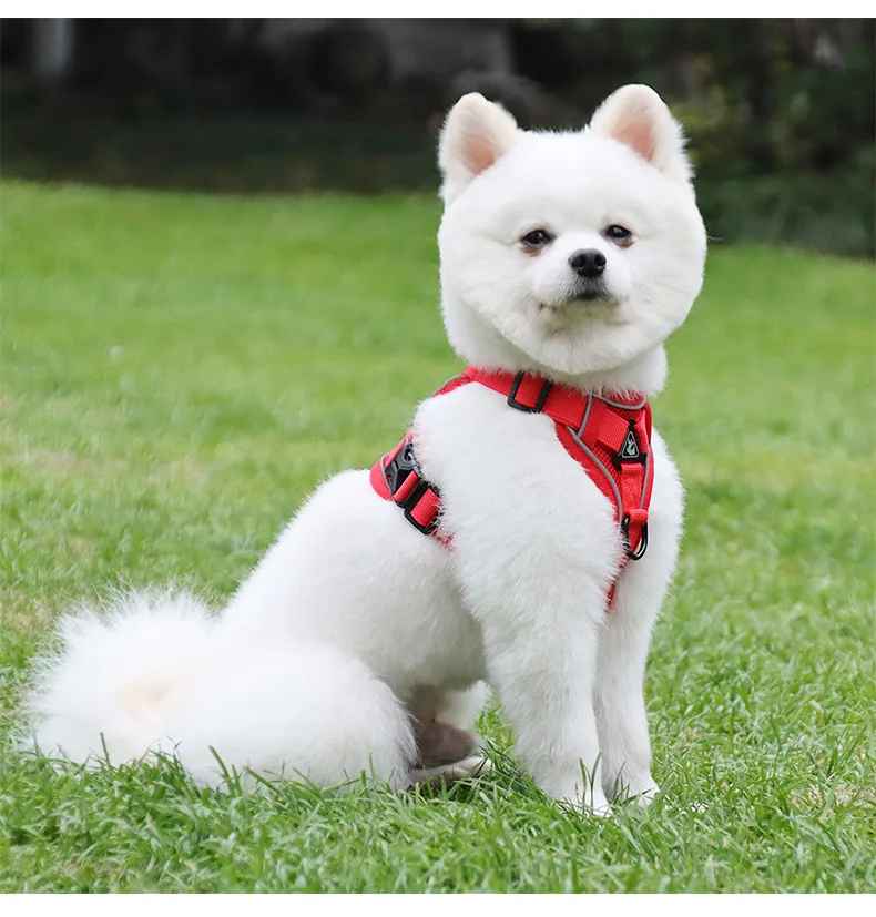 harnais anti traction chien |model 2 - Pro - canin.com