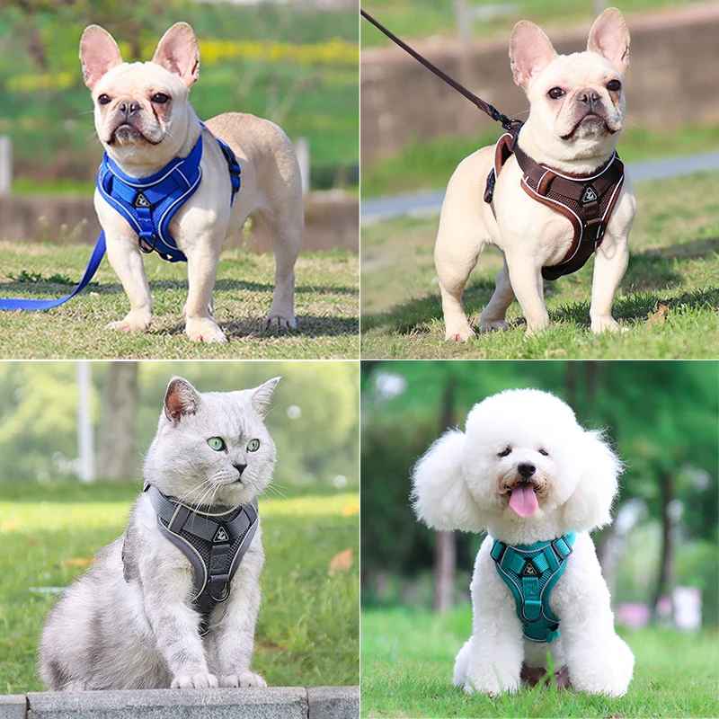 harnais anti traction chien |model 2 - Pro - canin.com