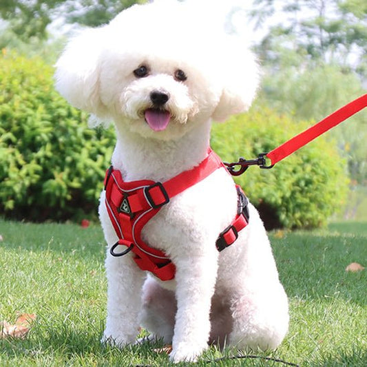 harnais anti traction chien |model 2 - Pro - canin.com