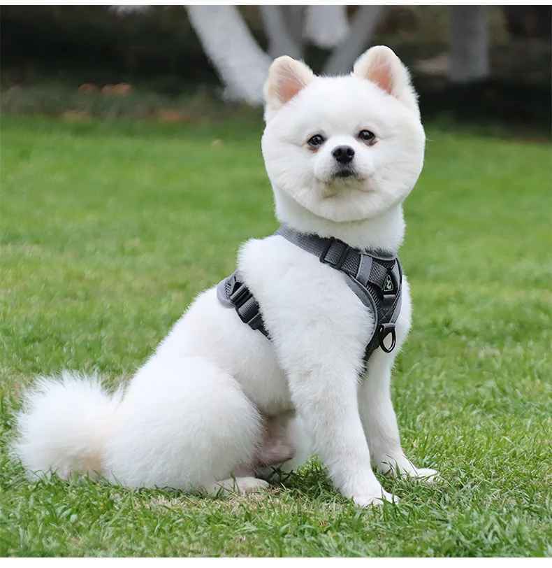 harnais anti traction chien |model 2 - Pro - canin.com