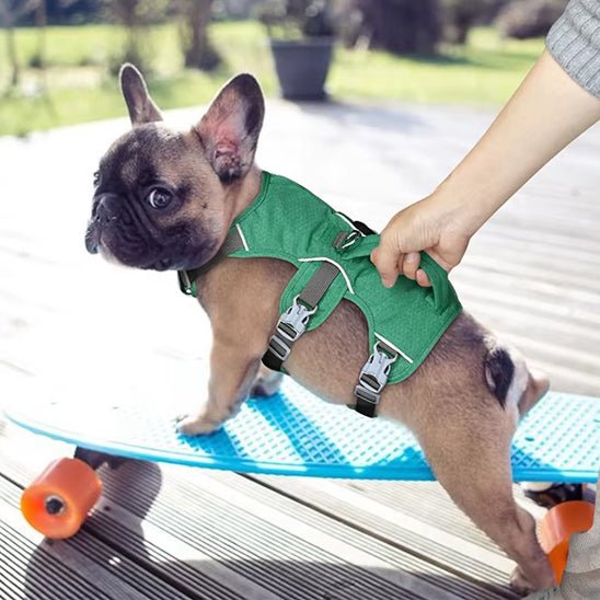 HARNAIS CHIEN | AVEC POIGNÉE - Pro - canin.com