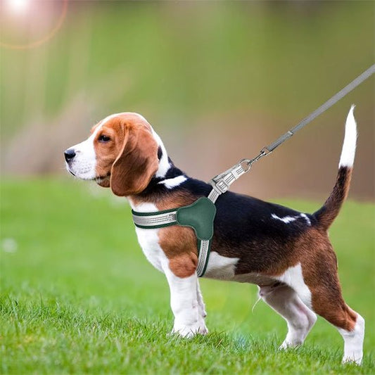 harnais chien petit et moyenne taille - Pro - canin.com