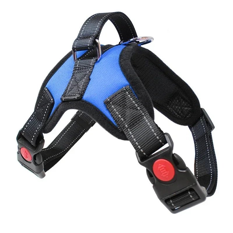harnais de selle - Pro - canin.com
