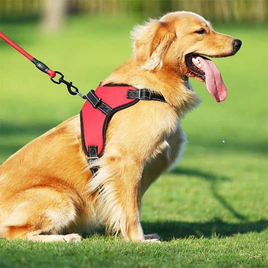 harnais de selle - Pro - canin.com