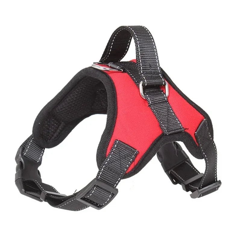 harnais de selle - Pro - canin.com