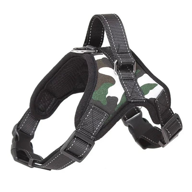 harnais de selle - Pro - canin.com