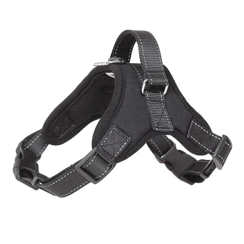 harnais de selle - Pro - canin.com