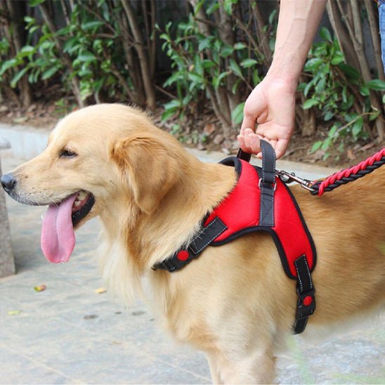 harnais de selle - Pro - canin.com