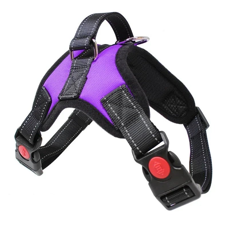 harnais de selle - Pro - canin.com