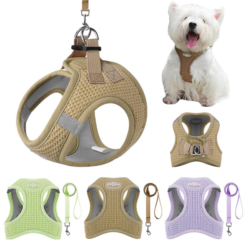 Harnais petit chien chat beige