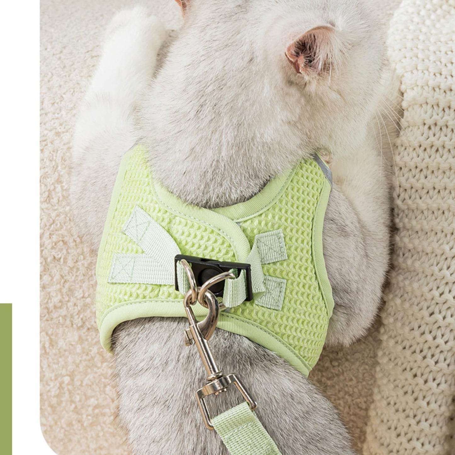 Harnais petit chien chat vert
