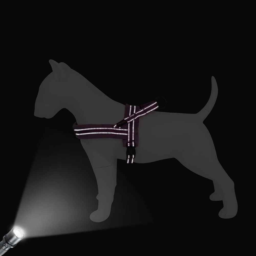 harnais petit chien doux - Pro - canin.com