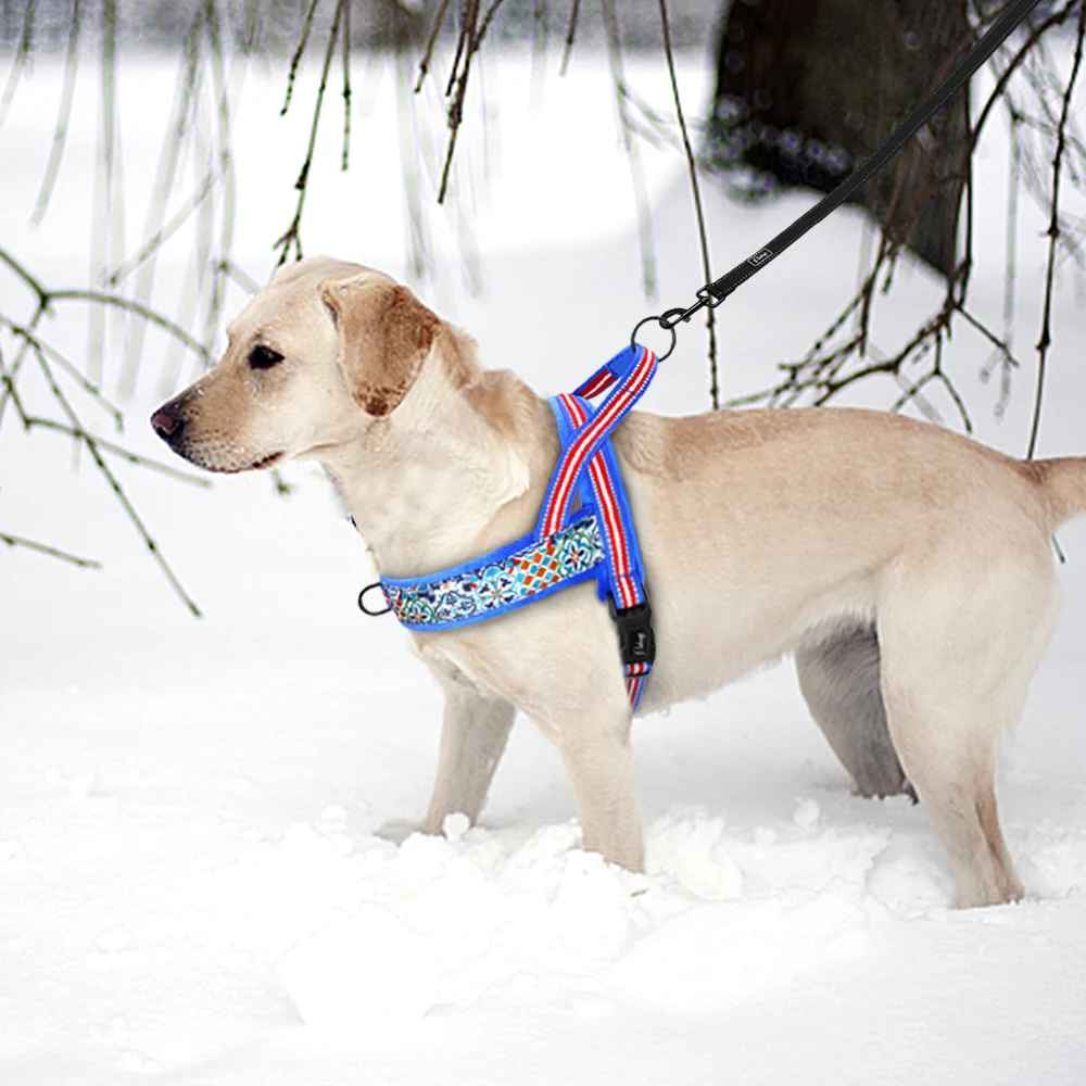harnais petit chien doux - Pro - canin.com