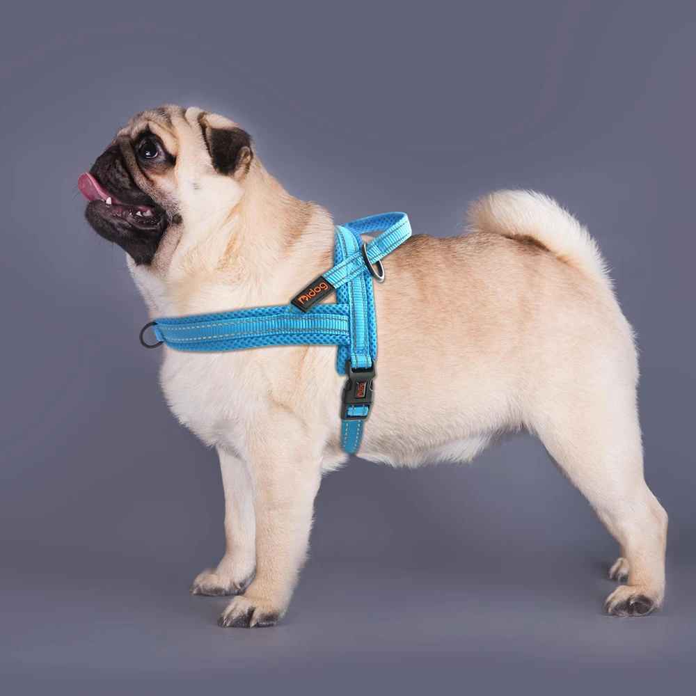 harnais petit chien doux bleu