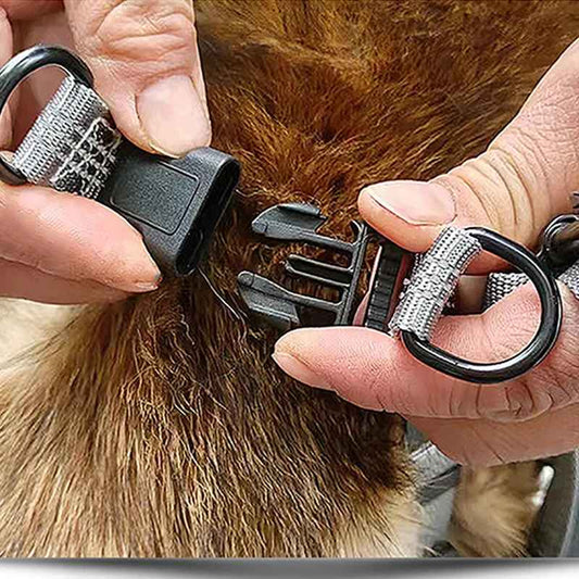 harnais petit chien en Y - Pro - canin.com