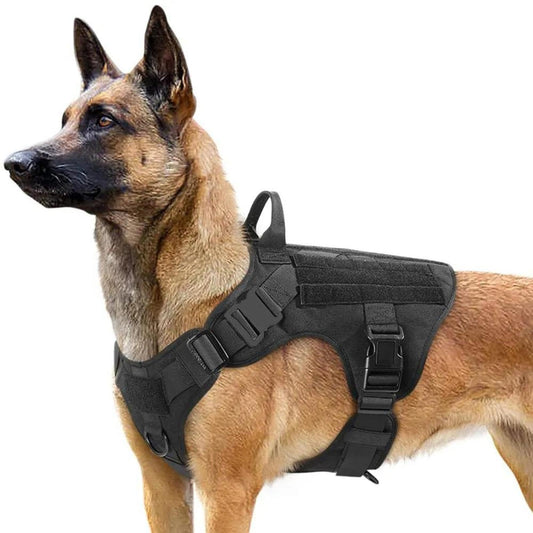 harnais tactique - Pro - canin.com
