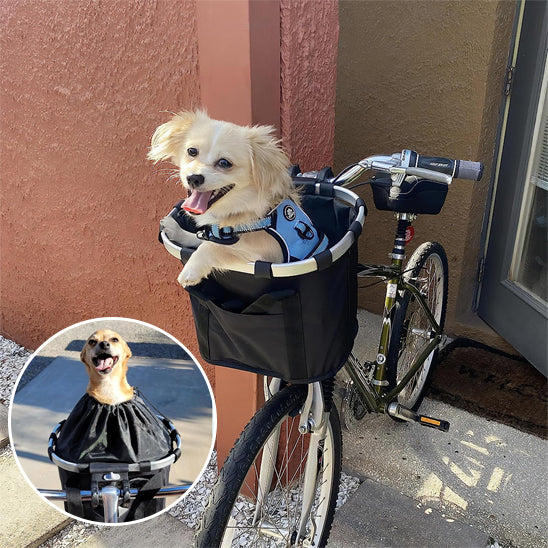 Panier velo chien | Sécurisé et Confortable