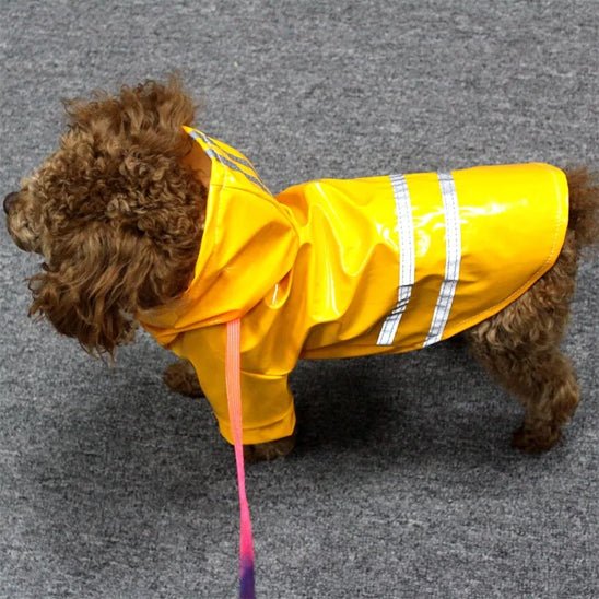 imperméable pour chien réfléchissant jaune