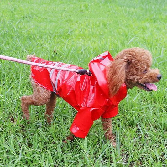 imperméable pour chien réfléchissant 