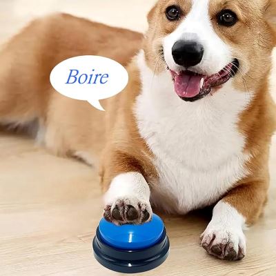 Jouet Interactif pour Chien ChienParlant™  Bleu Royal boire