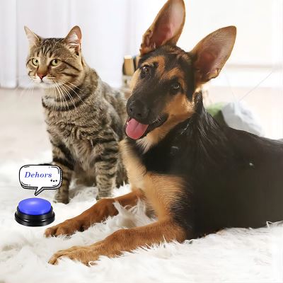 Jouet Interactif pour Chien ChienParlant™  Bleu Royal dehors