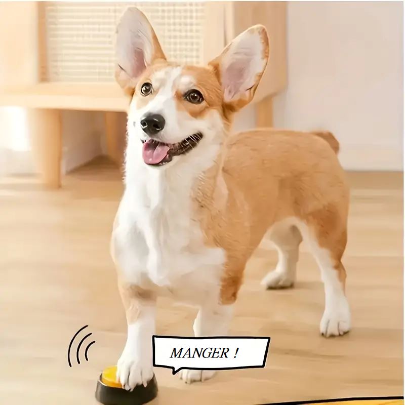 Jouet Interactif pour Chien - ChienParlant™ - Jaune - Pro - canin.com