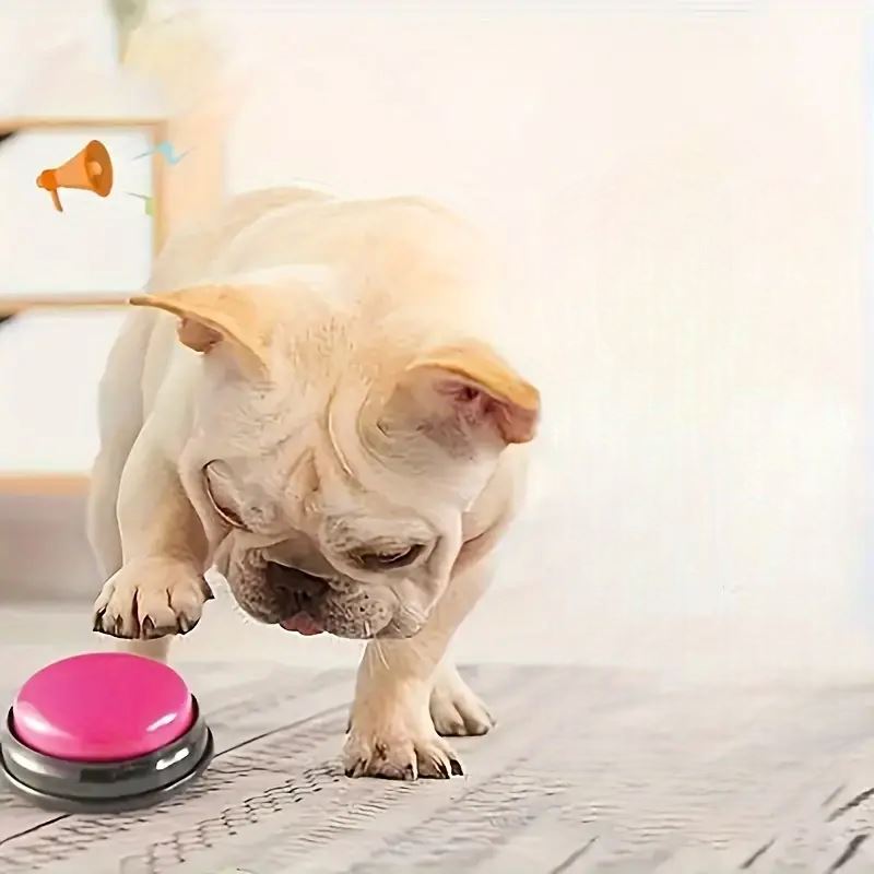 Jouet Interactif pour Chien - ChienParlant™ - Magenta - Pro - canin.com