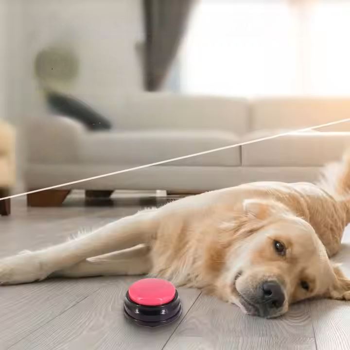 Jouet Interactif pour Chien - ChienParlant™ - Magenta - Pro - canin.com