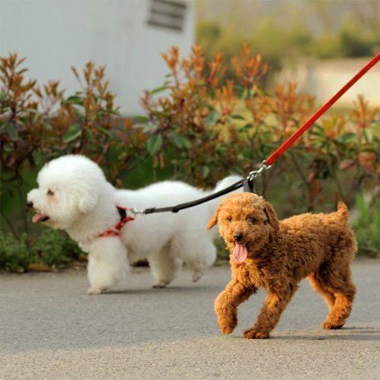 laisse chien | coupleur en V - Pro - canin.com
