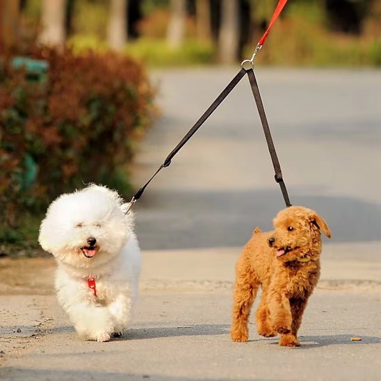 laisse chien | coupleur en V - Pro - canin.com