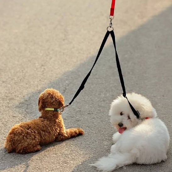 laisse chien | coupleur en V - Pro - canin.com