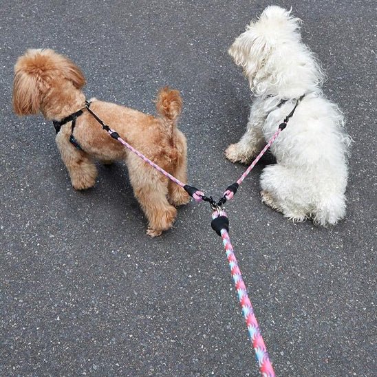 laisse chien |double - Pro - canin.com