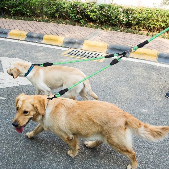 laisse chien |double - Pro - canin.com