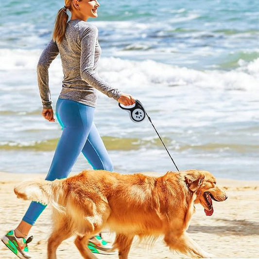 laisse chien| rétractable - Pro - canin.com