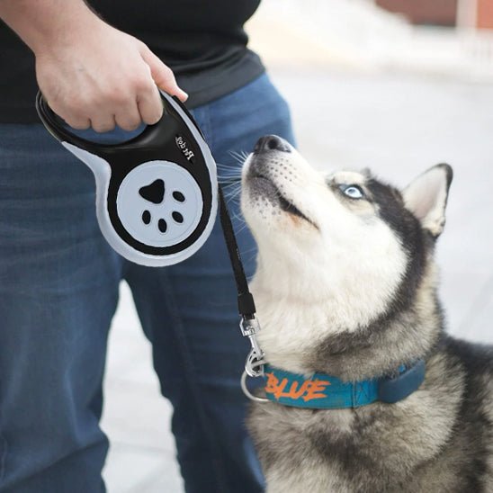 laisse chien| rétractable - Pro - canin.com
