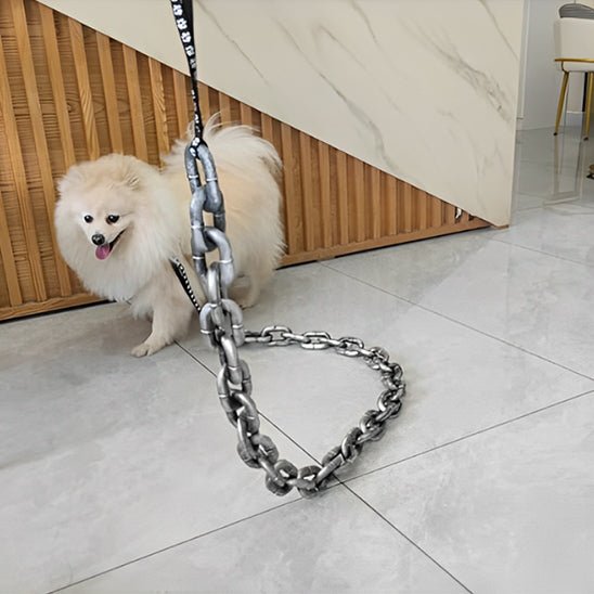 laisse de chien fausse chaine  poméranien