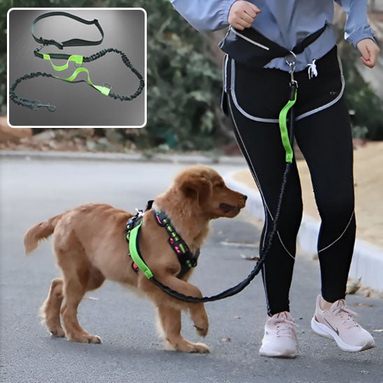 laisse de chien | main libre - Pro - canin.com