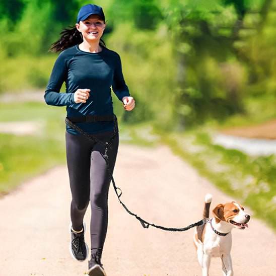 laisse de chien | main libre - Pro - canin.com