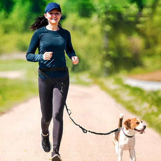 laisse de chien | main libre - Pro - canin.com