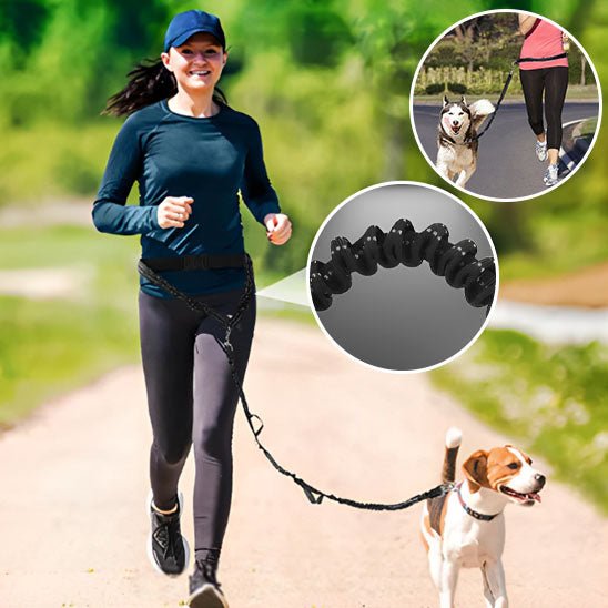 laisse de chien | main libre - Pro - canin.com
