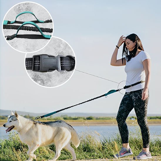 laisse de chien | main libre - Pro - canin.com