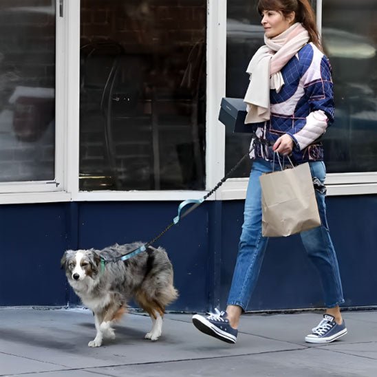 laisse de chien main libre femme balade berger australien